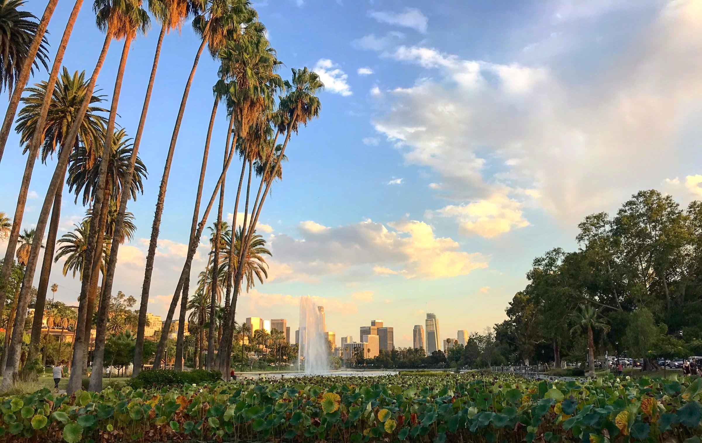 Echo Park Lake with the Downtown skyline behind the palms
